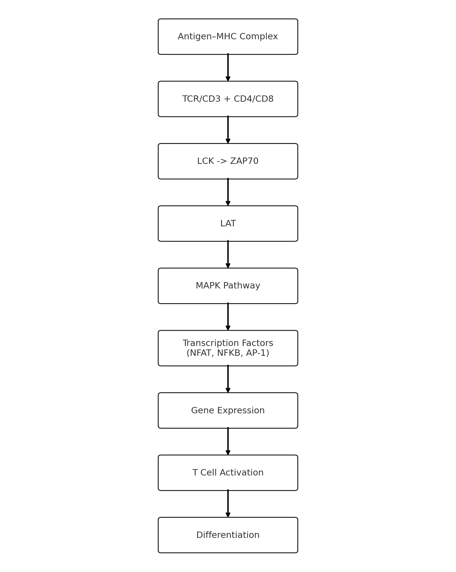 Simplified example of pathway generated by Bioinformatics GPT