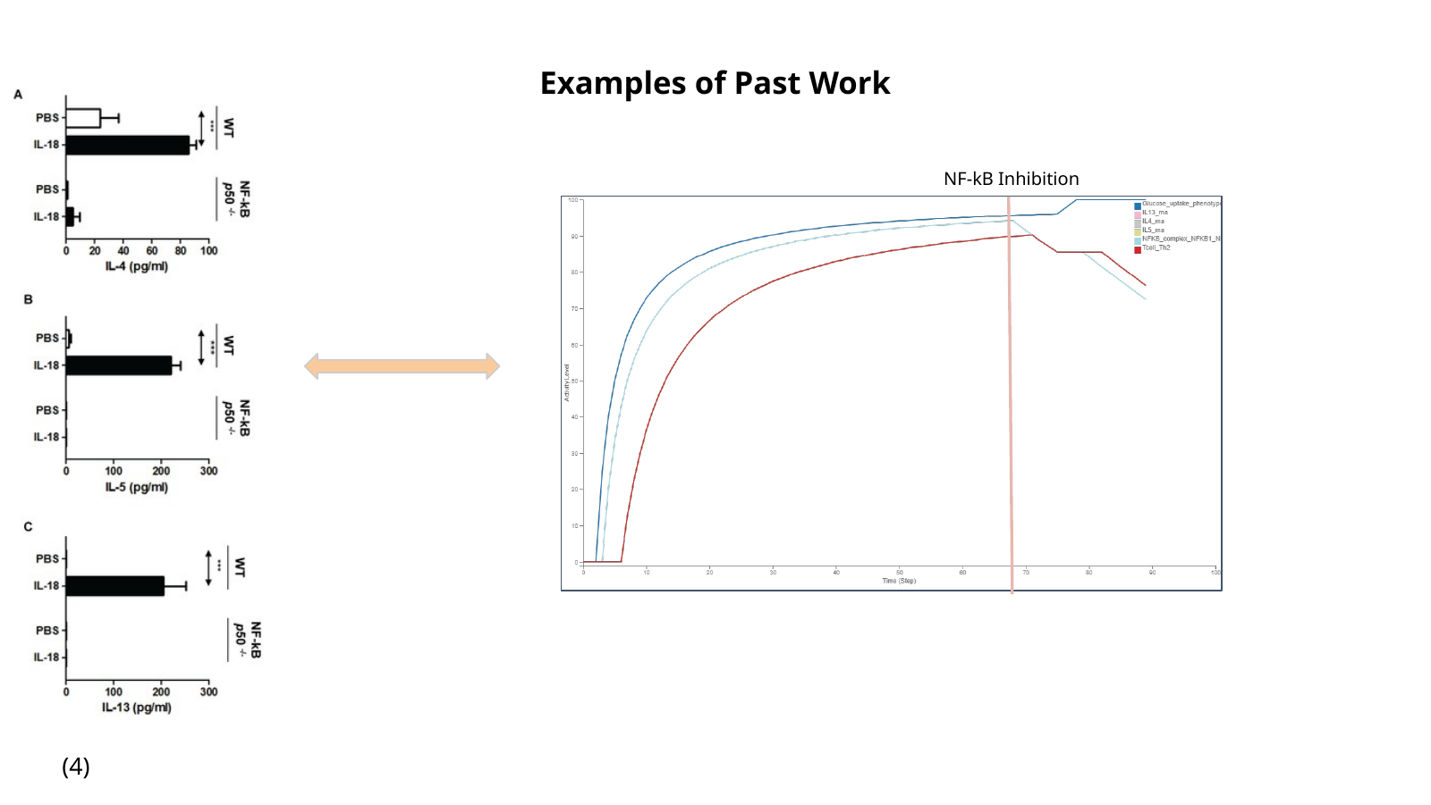 Representative results from a signalling and metabolism model showing NF‑κB inhibition